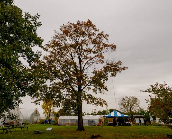 the SAP farm on a rainy day with a gathering tent